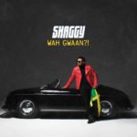 Shaggy Featuring Alexander Stewart - You