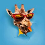 Takagi & Ketra, OMI, Giusy Ferreri - JAMBO