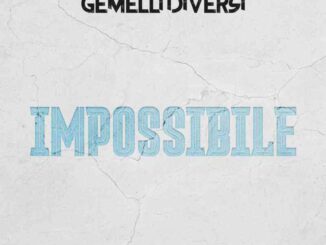 Gemelli Diversi - Impossibile