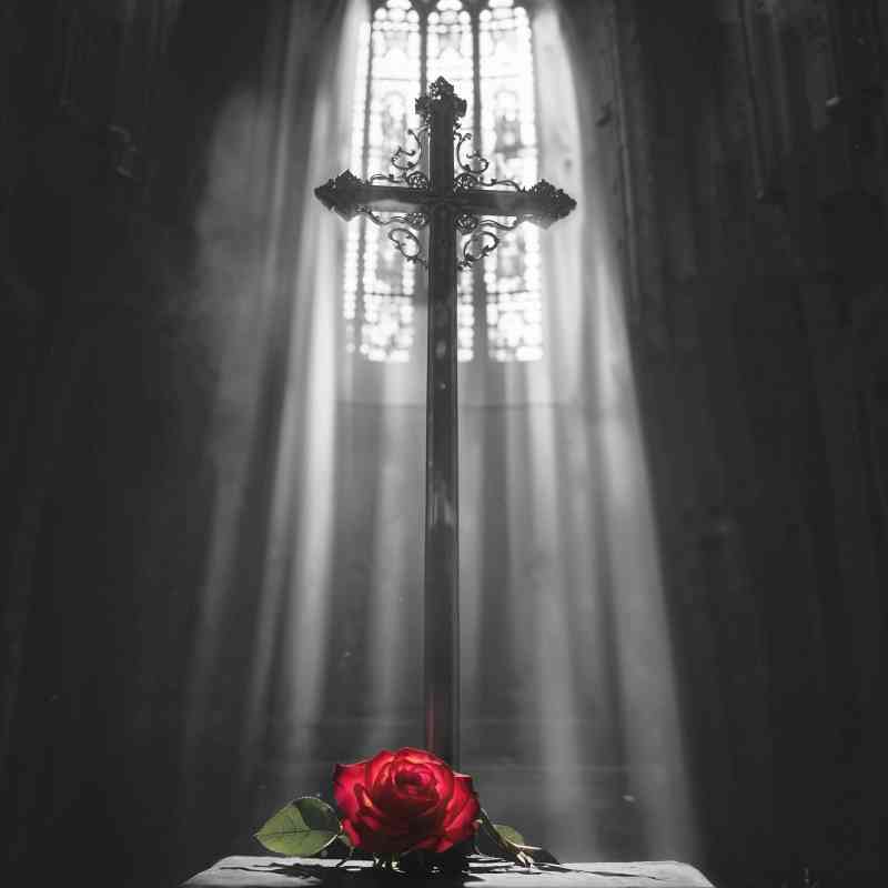 Ava Max - Lost Your Faith