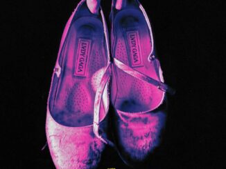 Lady Gaga - The Dead Dance