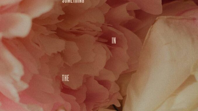 Lewis Capaldi - Something In The Heavens