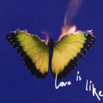 MAROON 5, LIL WAYNE - Love is like