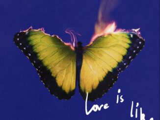 MAROON 5, LIL WAYNE - Love is like