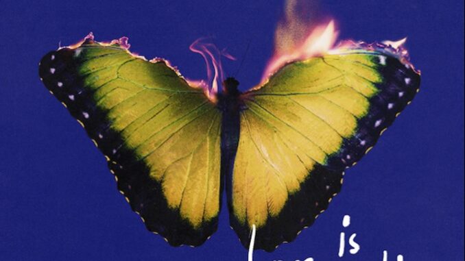 MAROON 5, LIL WAYNE - Love is like