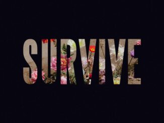 Lewis Capaldi - The Day That I Die