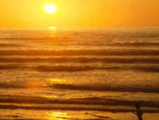 Bresh&nbsp;-&nbsp;Introvabile