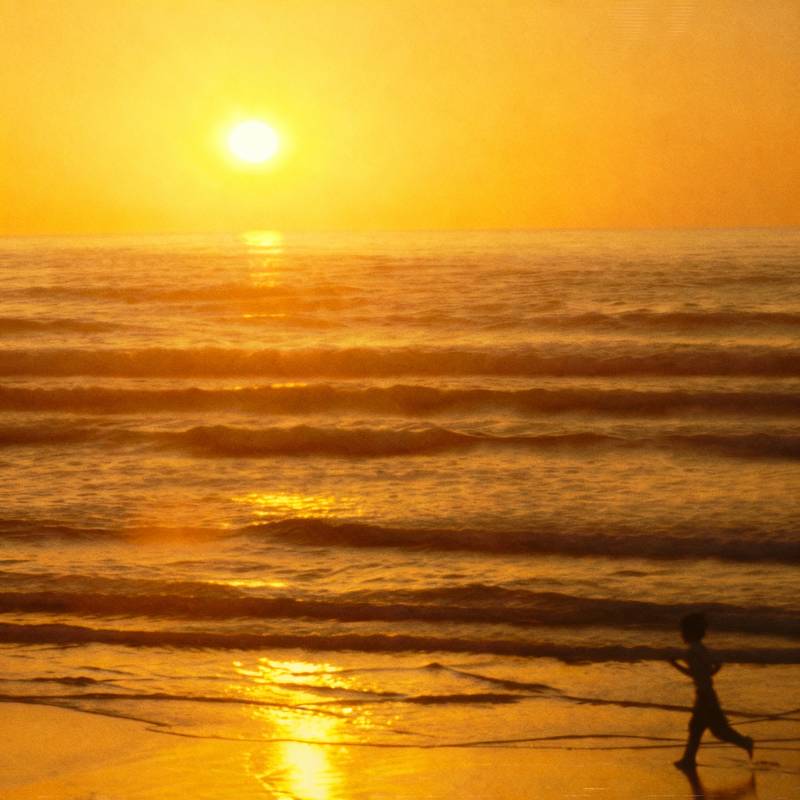 Bresh - Introvabile