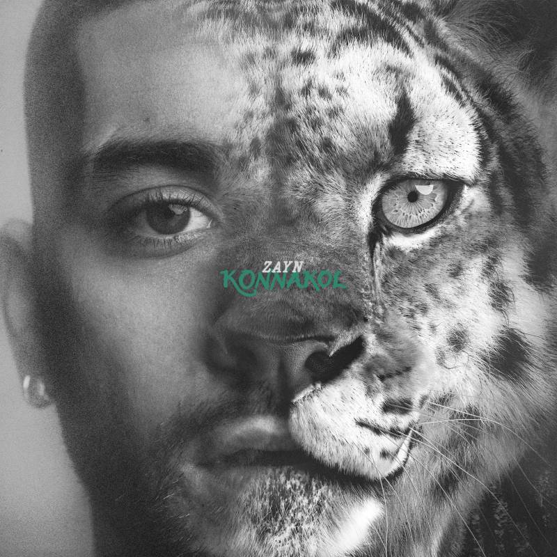ZAYN&nbsp;-&nbsp;Die For Me